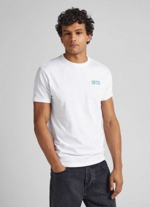 Pepe Jeans 1973 Logo T-shirt T-shirt Herr Vita | 238946GZV