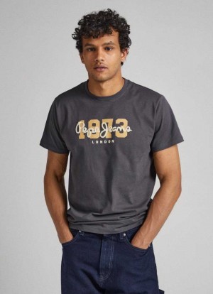 Pepe Jeans 1973 Logo T-shirt T-shirt Herr Grå | 029548LIR